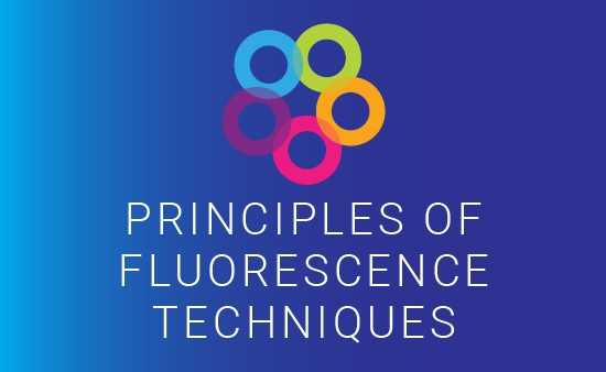 Fluorescence Foundation 2023 Details