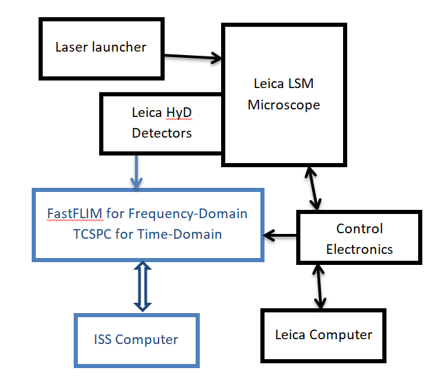 Schematic of Leica LSM Upgrade