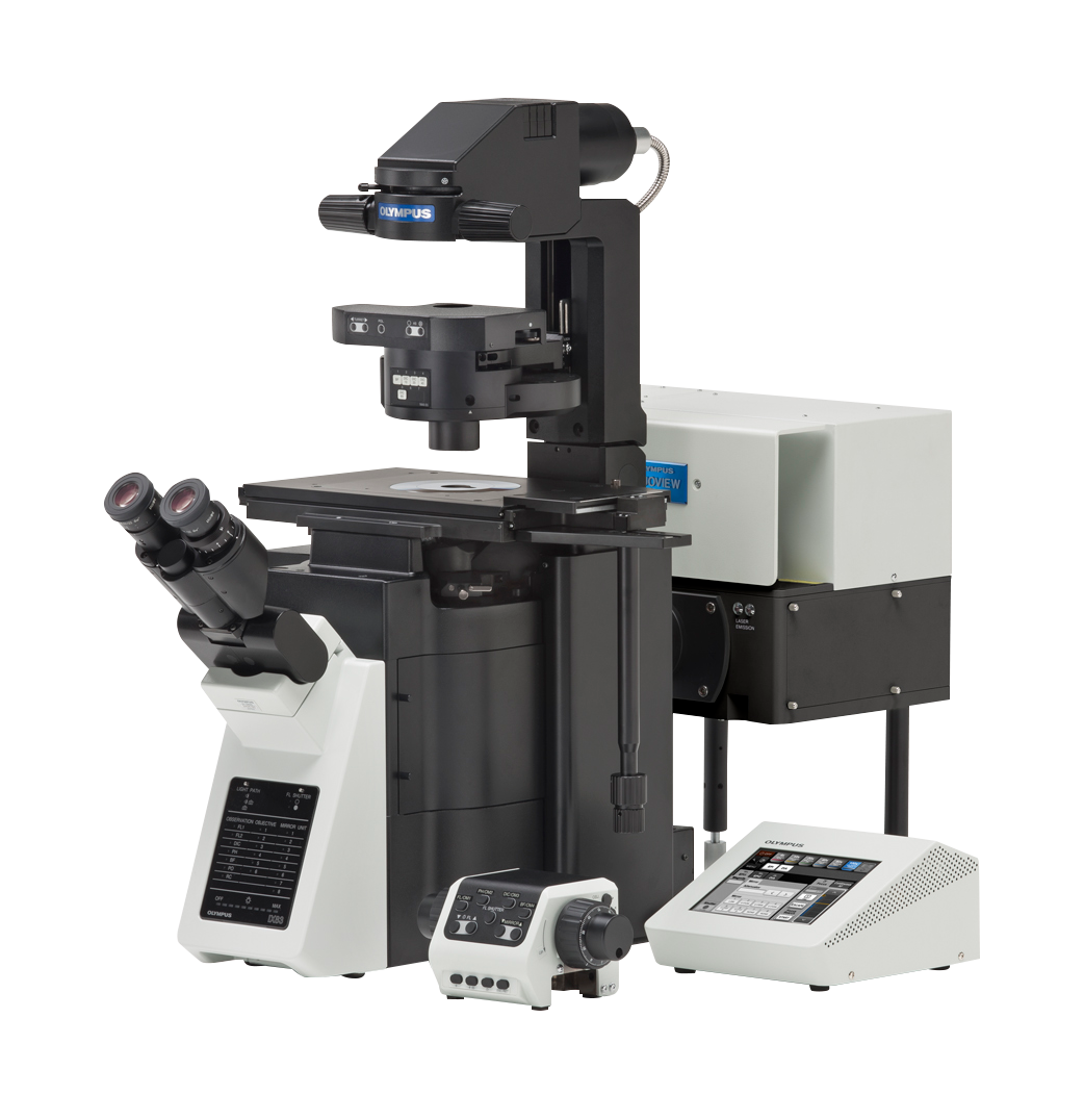 Olympus Laser Scanning Microscope Upgrade